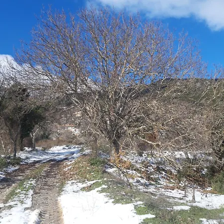 Feneos Apartment Φενεός