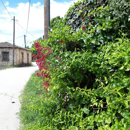 Feneos Apartment * Feneos